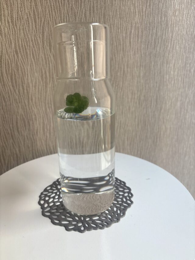 水分補給